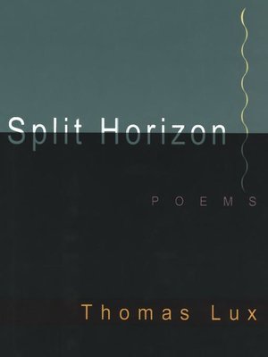 cover image of Split Horizon